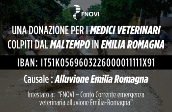 Una donazione per i medici veterinari colpiti dal maltempo in Emilia-Romagna