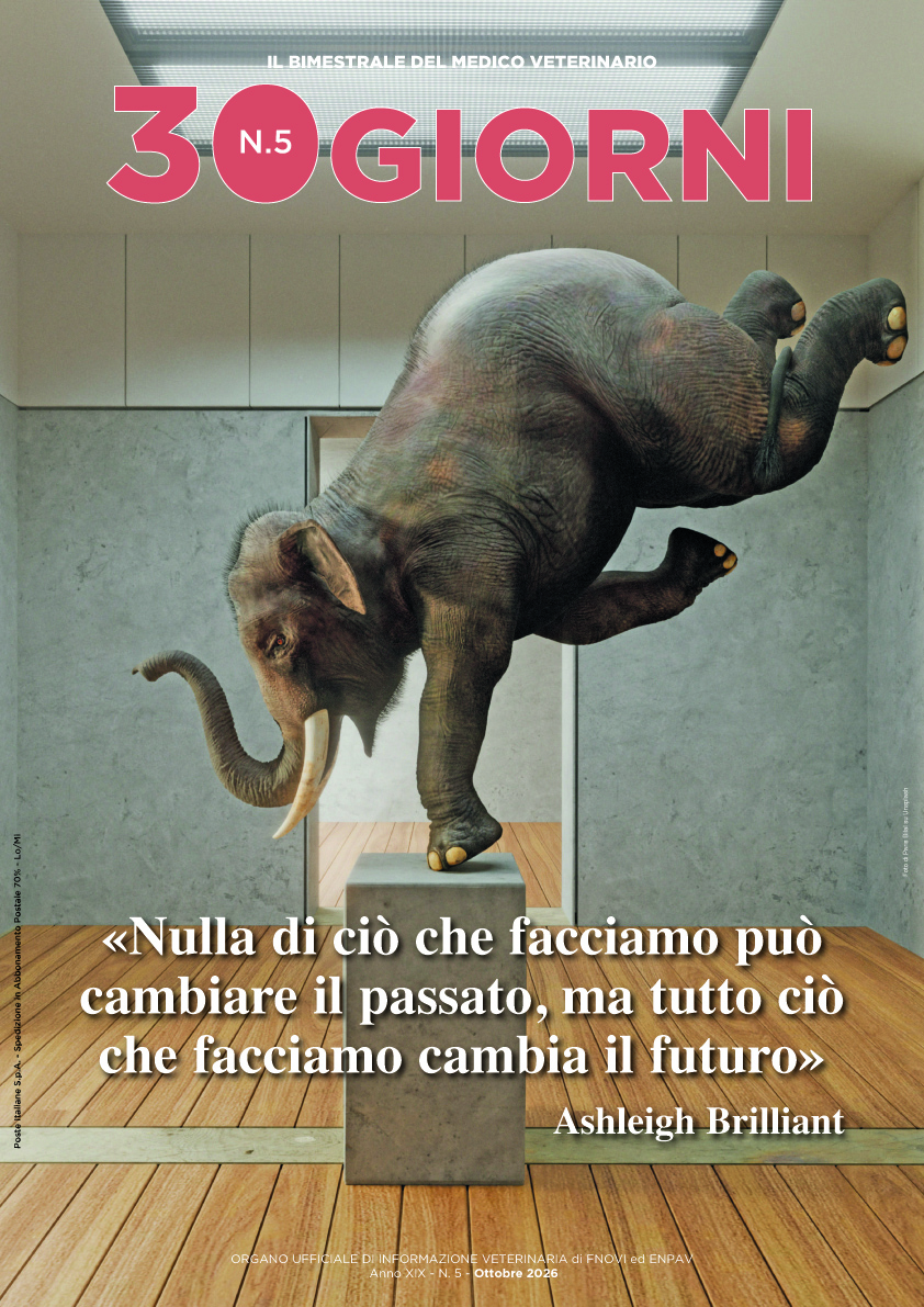copertina ottobre 2026.jpg